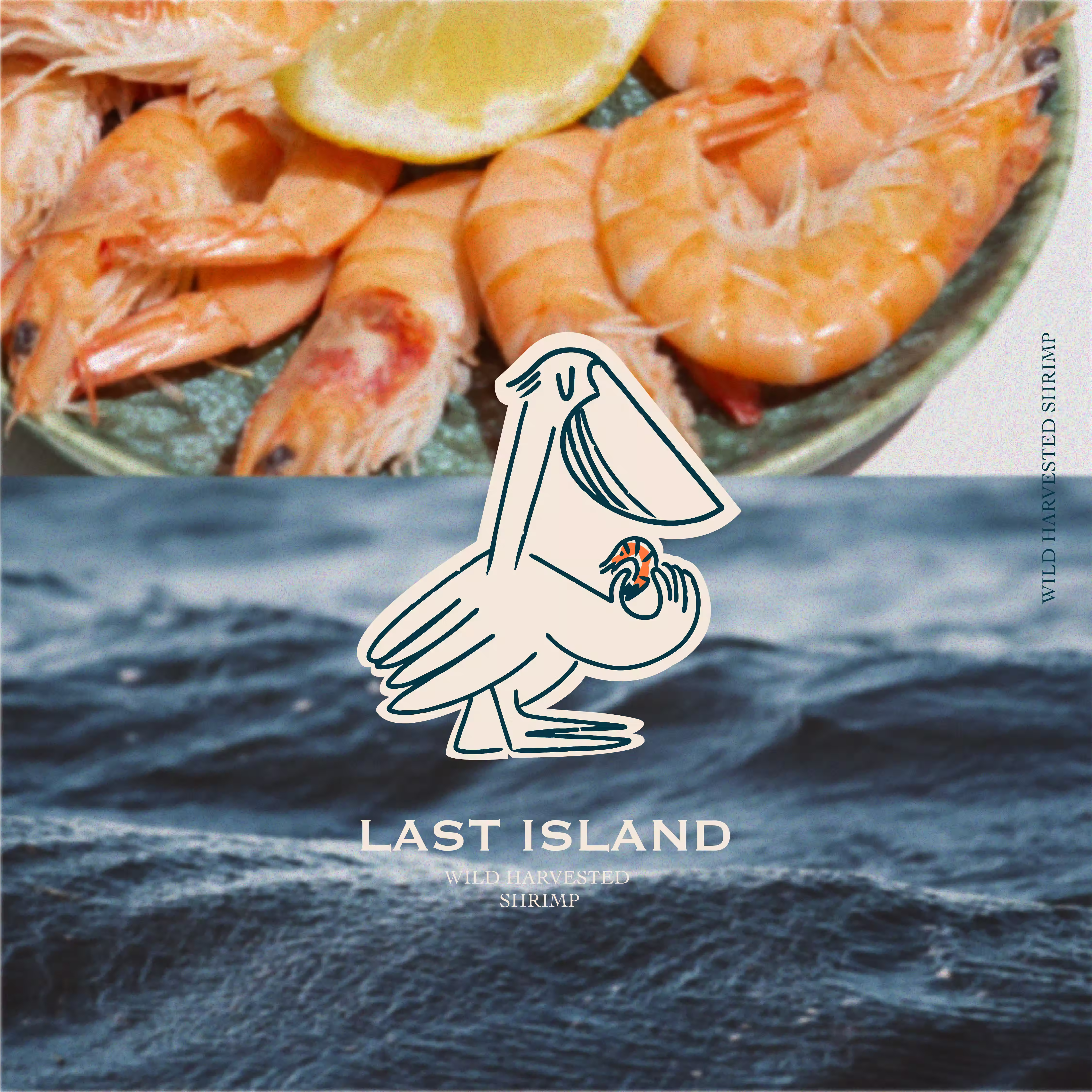 last island thumbnail